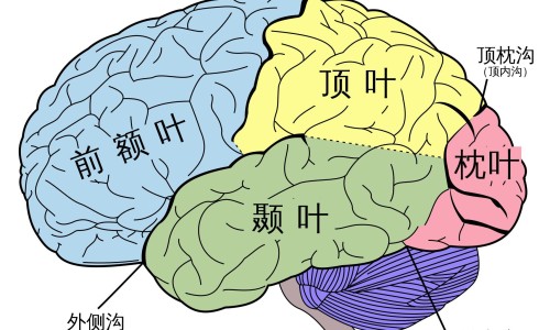 我翘不了二郎腿-【跷二郎腿的二郎是谁】我翘着二郎腿是什么歌 - 我跷二郎退巧的不好看网